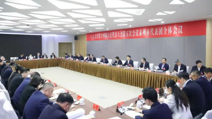 省十四届人大五次会议泰州市代表团审议省人大常委会和省“两院”工作报告